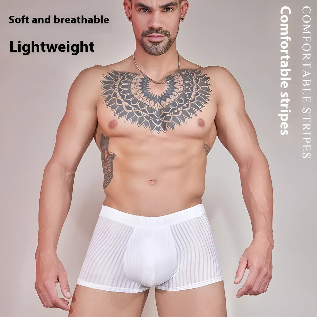 Men's striped nylon underwear in black, shown flat, highlighting thin fabric and free-size fit.