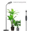 6-inch diameter Angel Ring LED plant grow light on a tall, retractable silver aluminium floor stand.