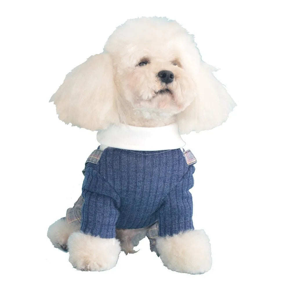 Orange and dark blue cotton dog shirt for small dogs in sizes S to 2XL