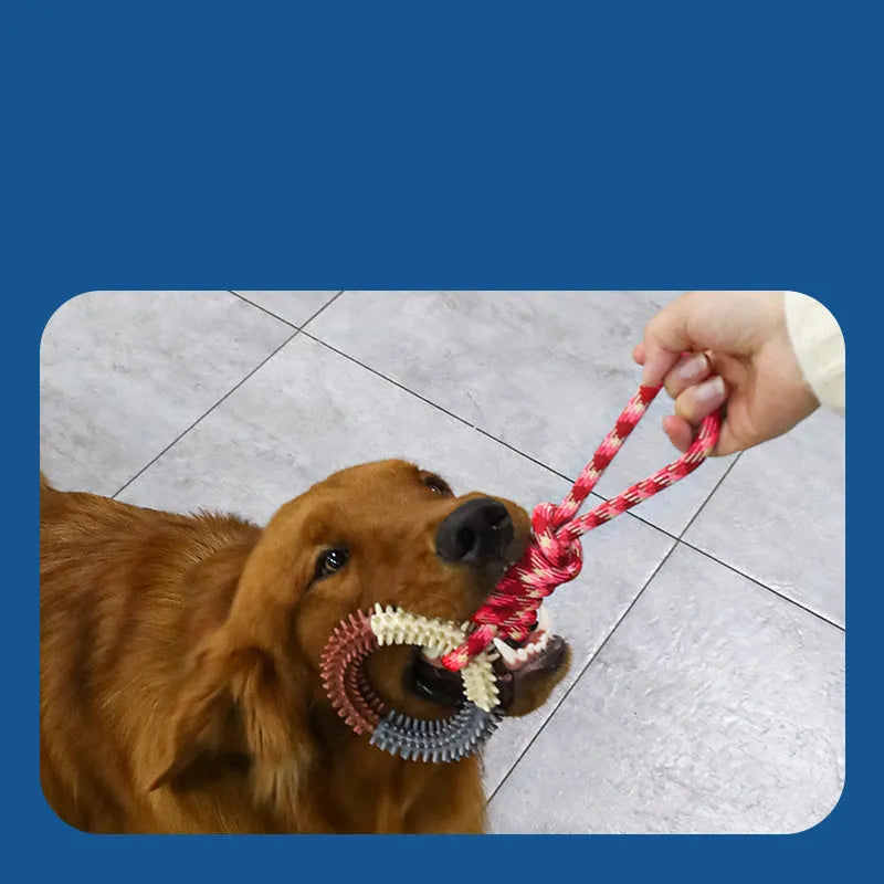 Blue braided rope dog toy with multiple knots, shown on a white background.
