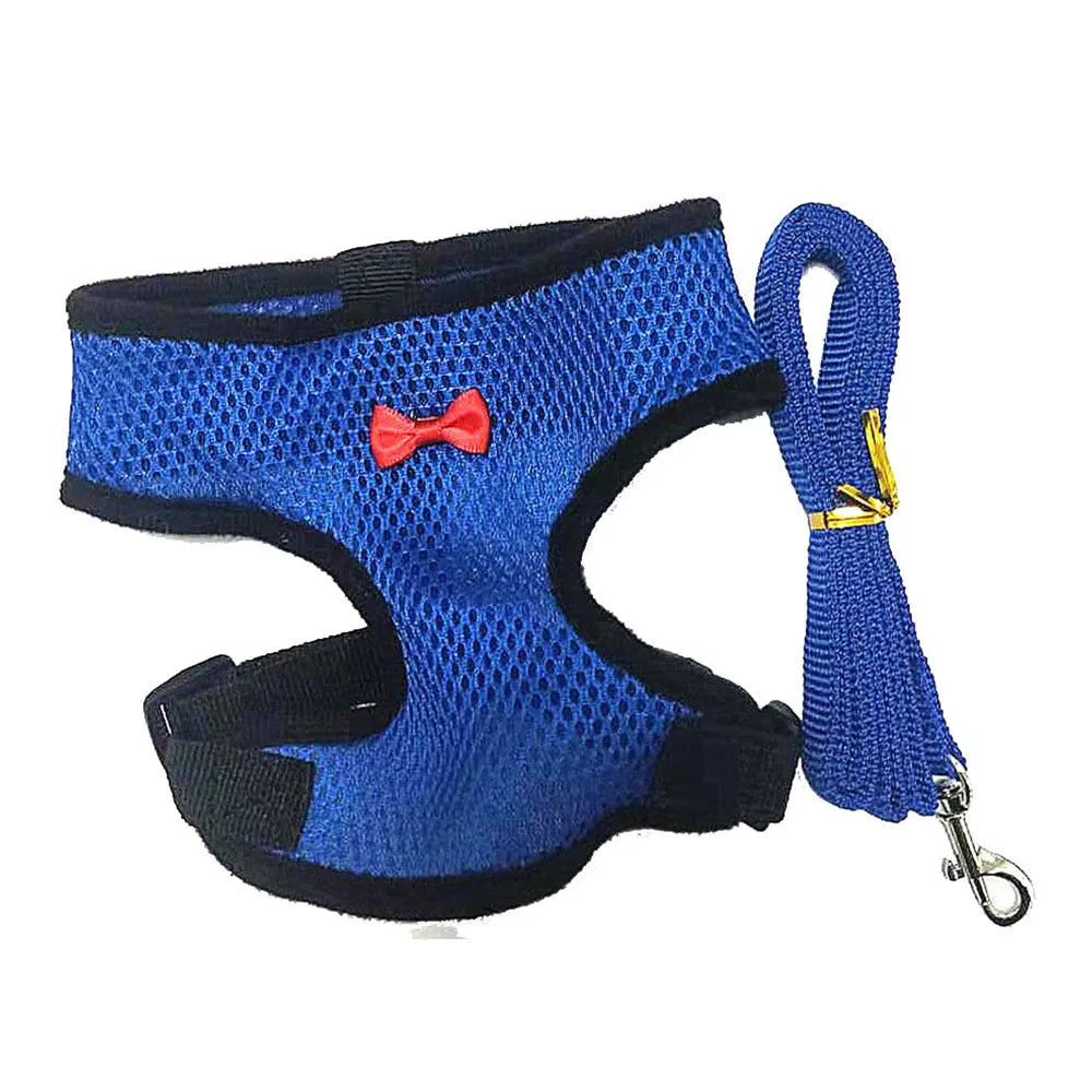 Poultry harness set featuring a red chicken vest, matching collar with bow, belly belt, and a long traction rope on a table.