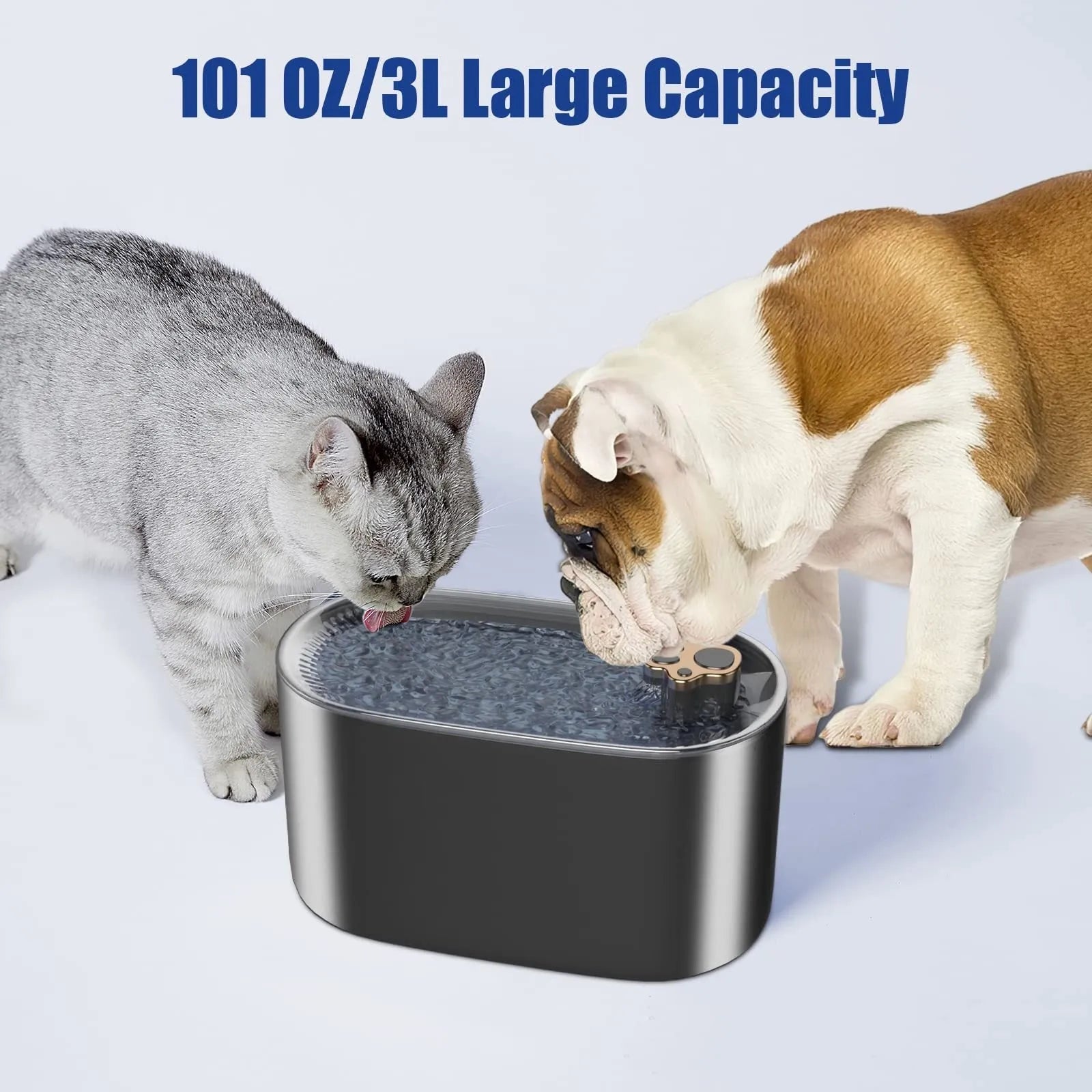Blue automatic pet water fountain with filter on a floor next to a cat