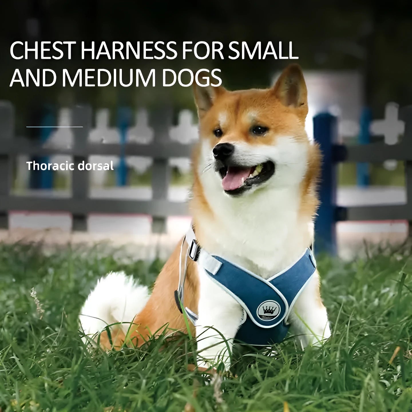 Adjustable mesh dog harness with metal D-ring in multiple colour options