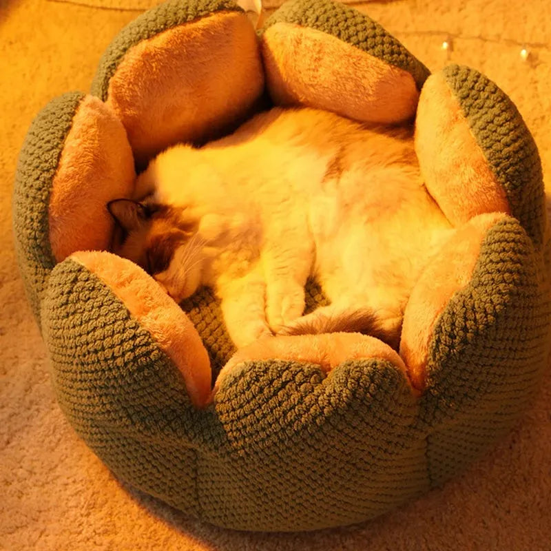 Green cactus petal shaped enclosed pet bed for cats and dogs on a hardwood floor.