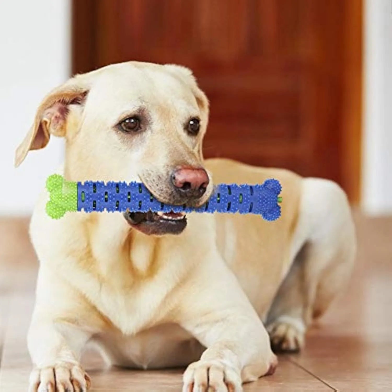 Blue and green silicone dog molar tooth cleaner chewing stick with textured brush head, 25cm long