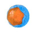 TPR dog toy set with ball, barbell, and tires floating in water