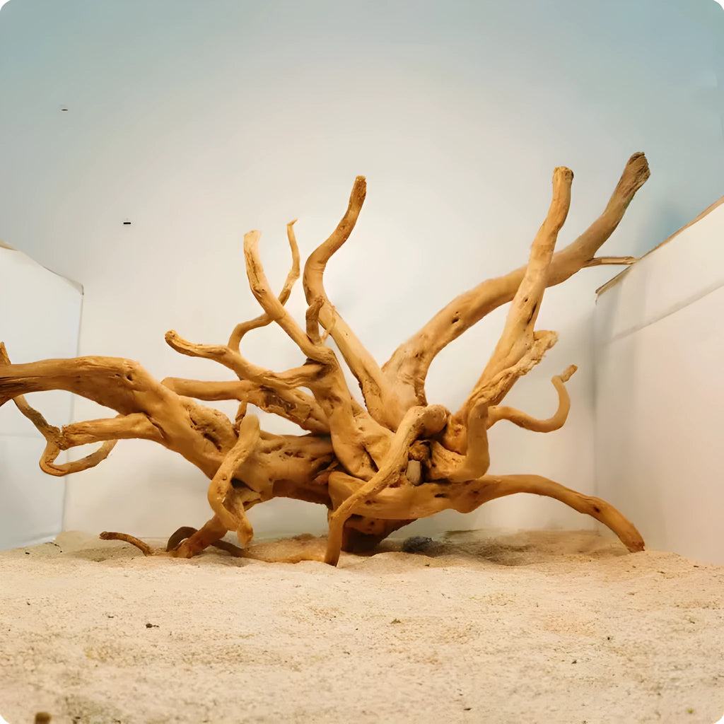 Xiaoqi root natural wood aquarium decoration ornament for fish tanks.