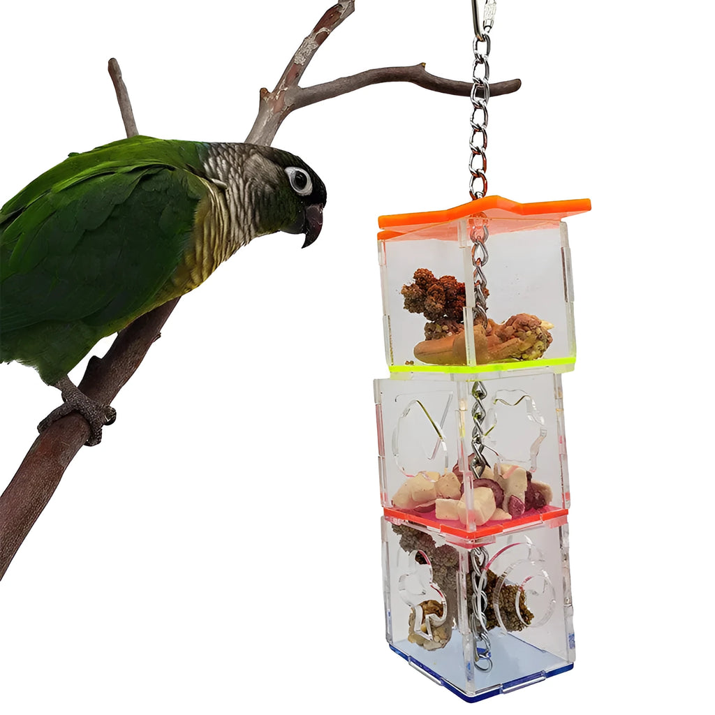 Clear acrylic parrot foraging toy measuring 32 cm tall for holding bird food.