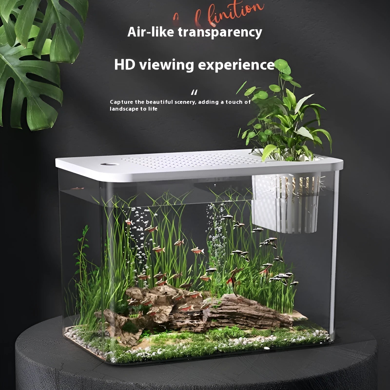 Mini plastic betta fish tank in black or white colour measuring 32x18.5x23cm