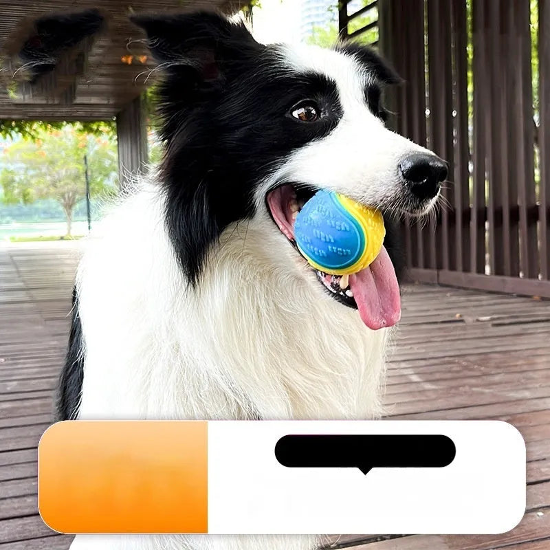 TPR dog toy ball with squeaker in two-tone colours, 6.5cm diameter