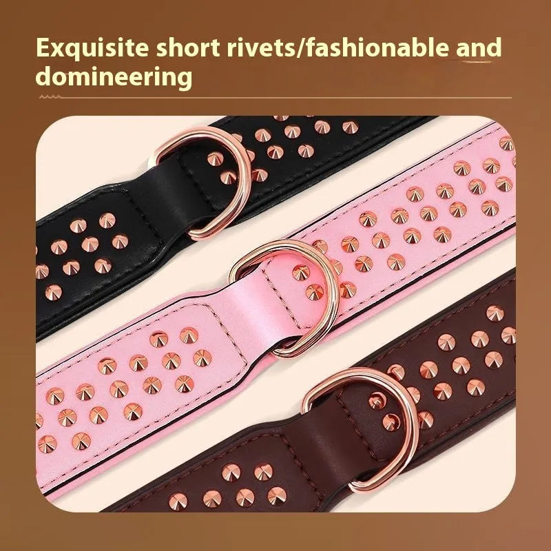 Leather dog collar with rivet construction in black colour showing anti-bite design