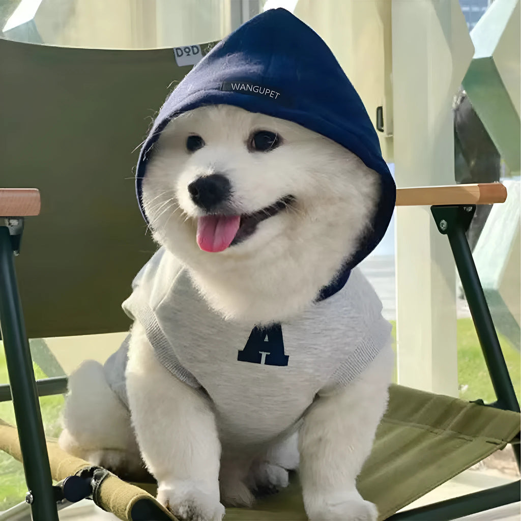 Blue slim-fit pet hoodie with reflective lettering on a dog, showing the hooded design.