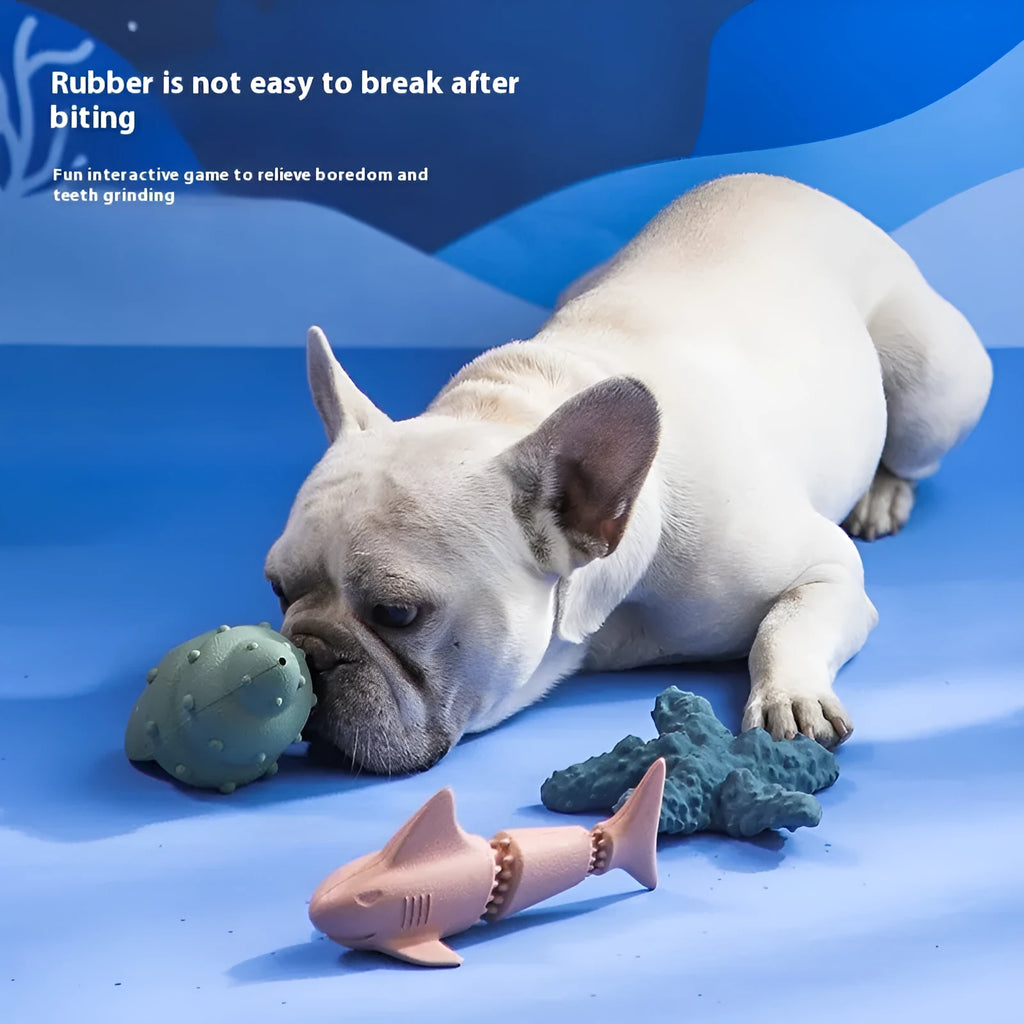 Blue and green rubber dog toys shaped as a shark, a conch, and a starfish on a white background.