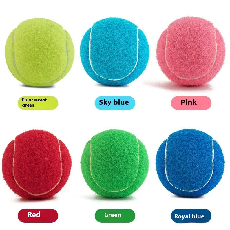 6.3 cm diameter rubber dog tennis ball toy in multiple colours including blue, green, pink, and orange