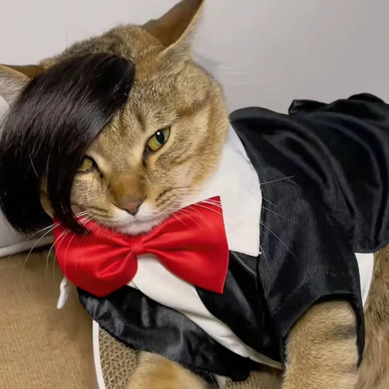 Black imitation braid cat wig made from polyester fabric for pet costumes