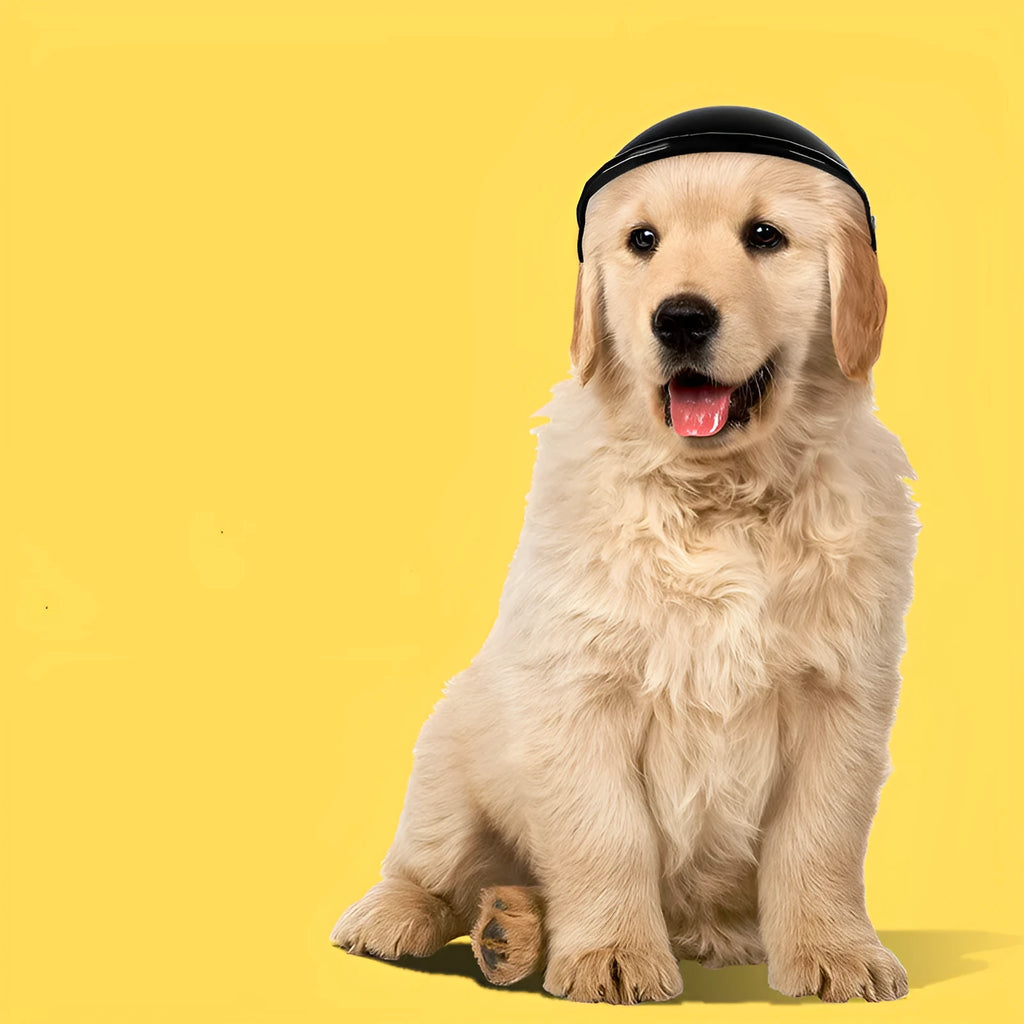 Small S-size plastic pet helmet for dogs and cats in black, green, pink or yellow colours