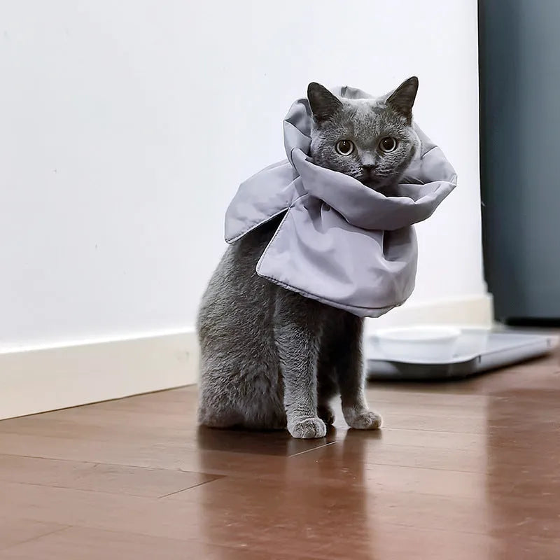 Soft adjustable Elizabethan recovery collar for cat or small dog in light blue.