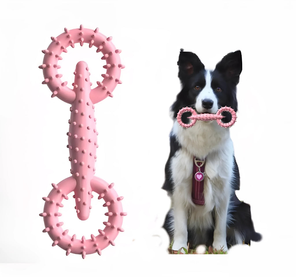 Blue TPR dog chew toy ring for puppy teething measuring 16cm diameter