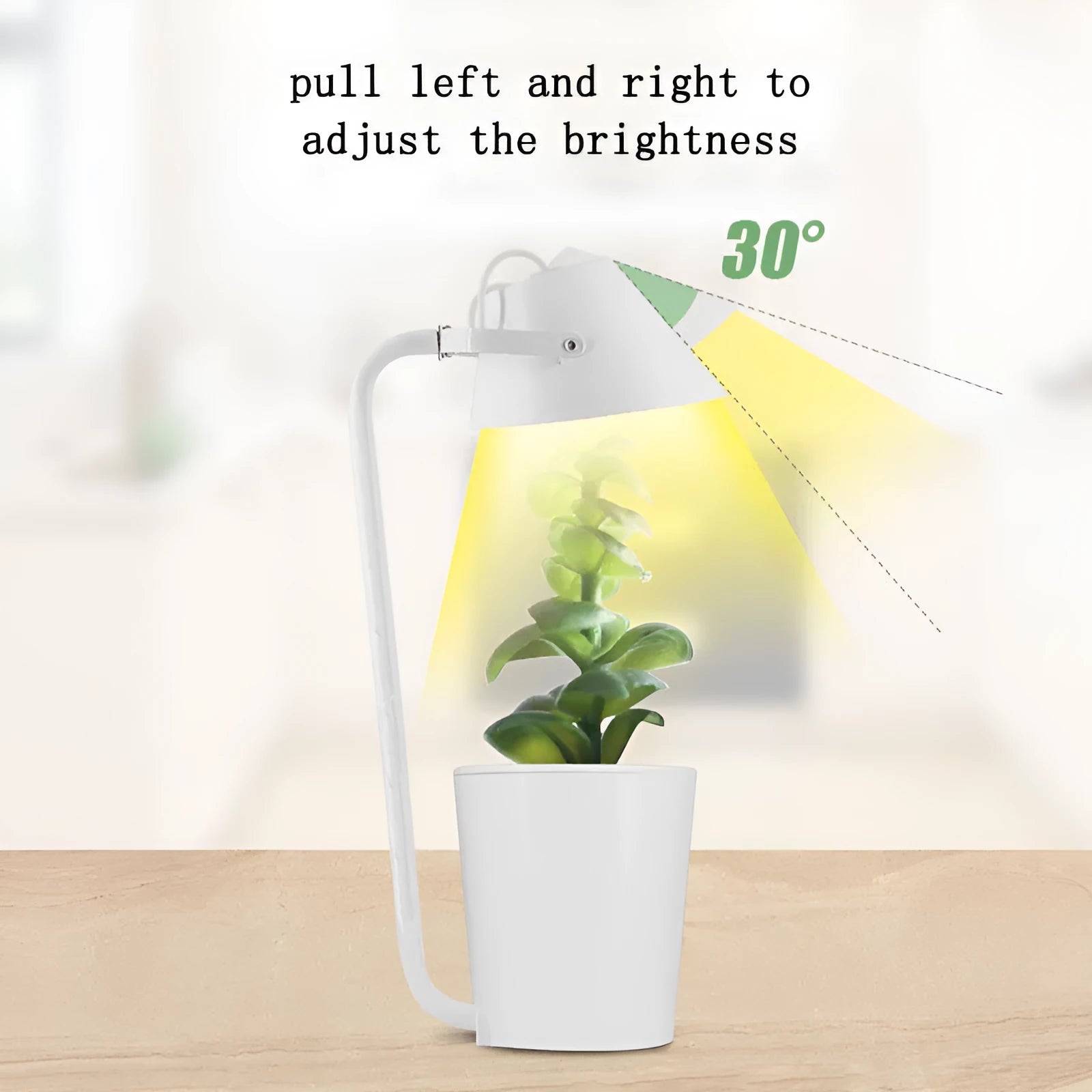 White plastic desktop hydroponic container for soilless plant growth