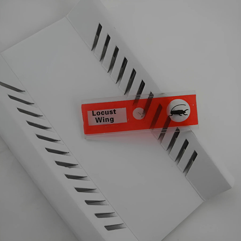 48 plastic microscope slides in red, green, yellow, and blue colours for children's biological observation