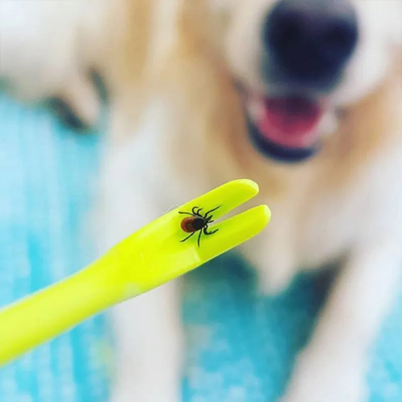 Three plastic tick removal clips for pets in blue and green on a white background.