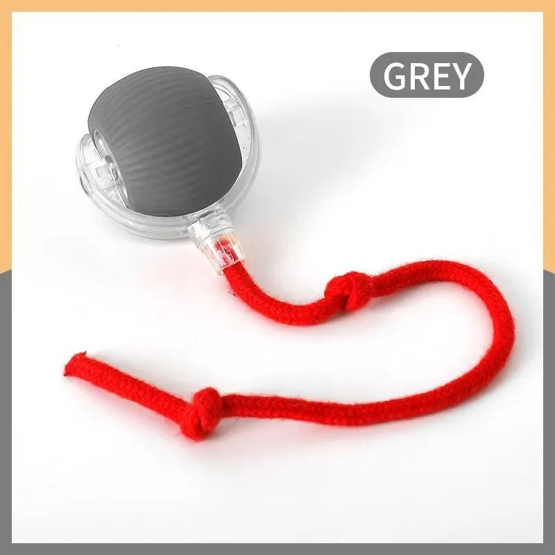 Silicone cat rolling ball toy in red, green, and grey colour options