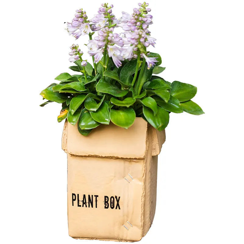 Cement brown paper box design flowerpot with drainage holes for indoor balcony planting