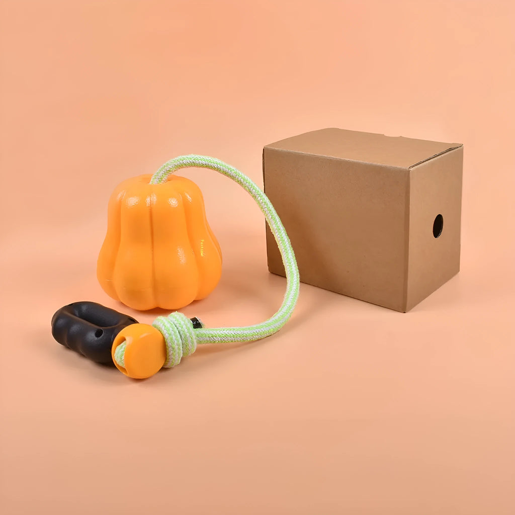 Pumpkin coloured plastic dog chew toy with a blue rope handle for tug and fetch.