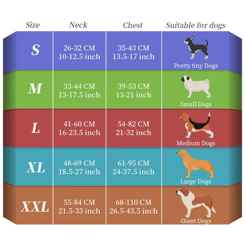 USB charging luminous dog leash with seven-colour LED light strip in nylon construction