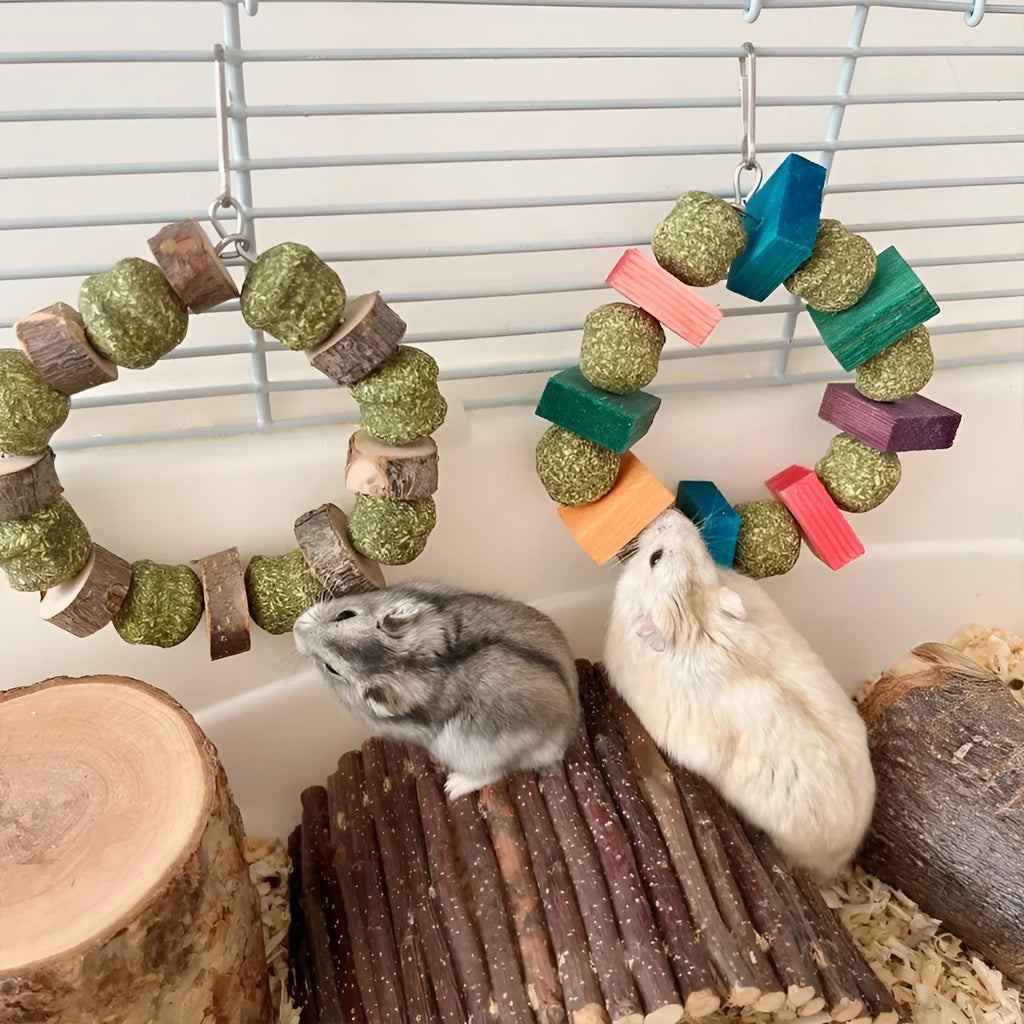 Hamster toy with applewood chew rod and decorative straw ball rings for small animal enrichment