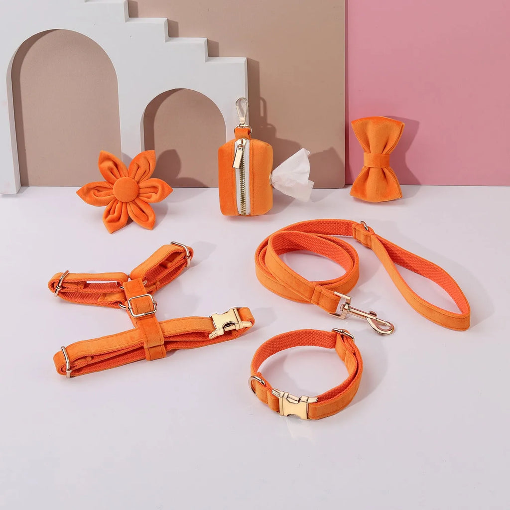 Velvet pet collar set with chest strap, bow tie, and flower accessory in multiple colour options