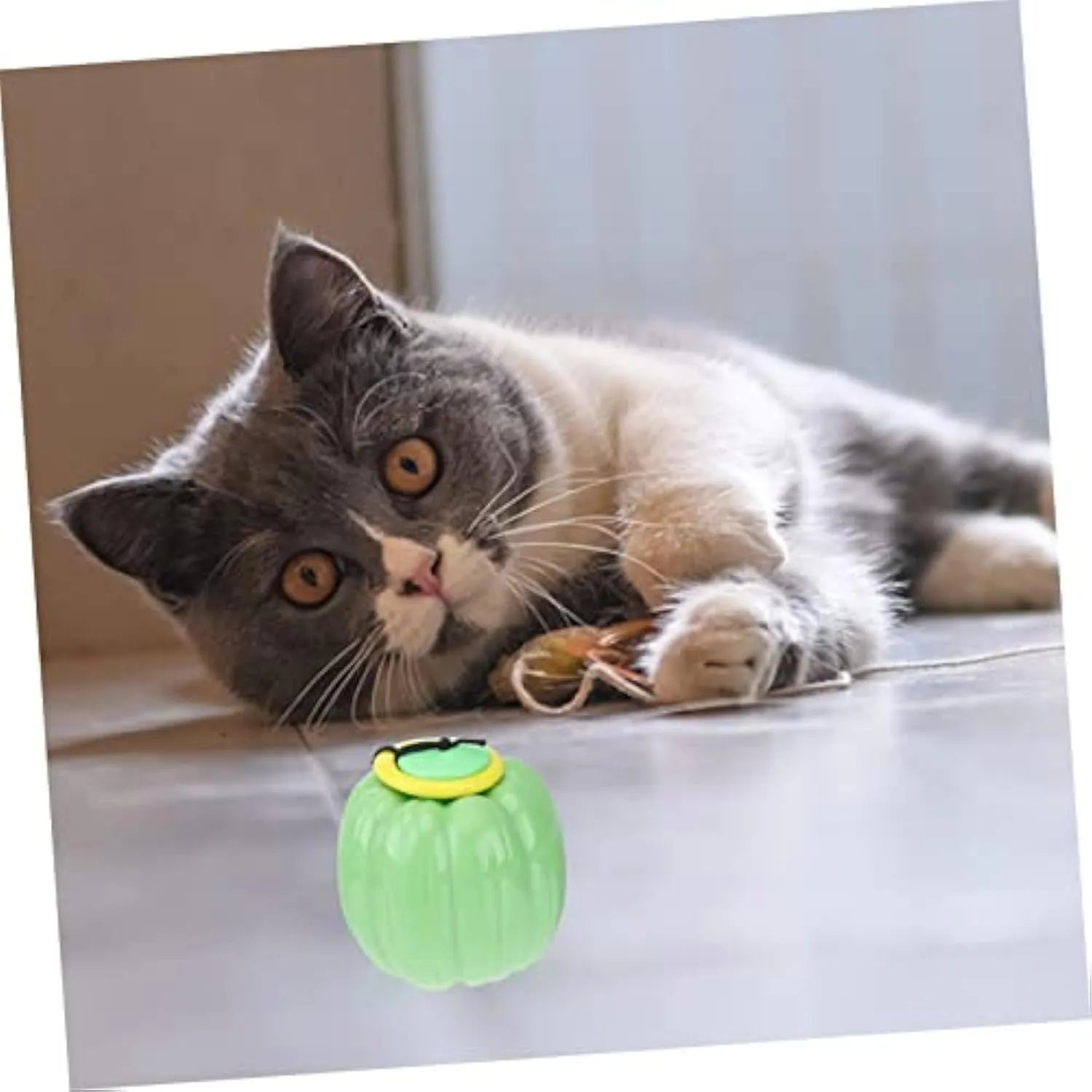 Green, orange, and yellow plastic pumpkin-shaped squeaker dog ball toy for puppies and small dogs.