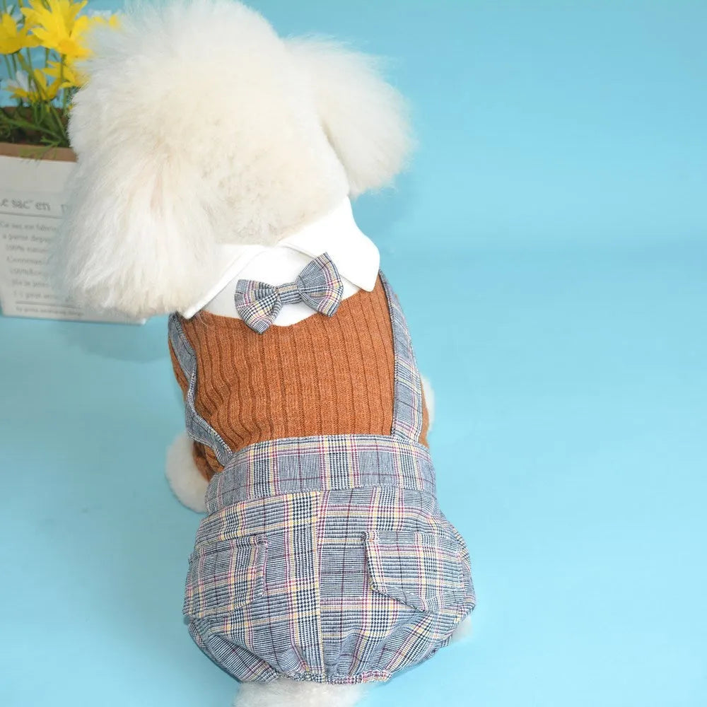 Orange and dark blue cotton dog shirt for small dogs in sizes S to 2XL