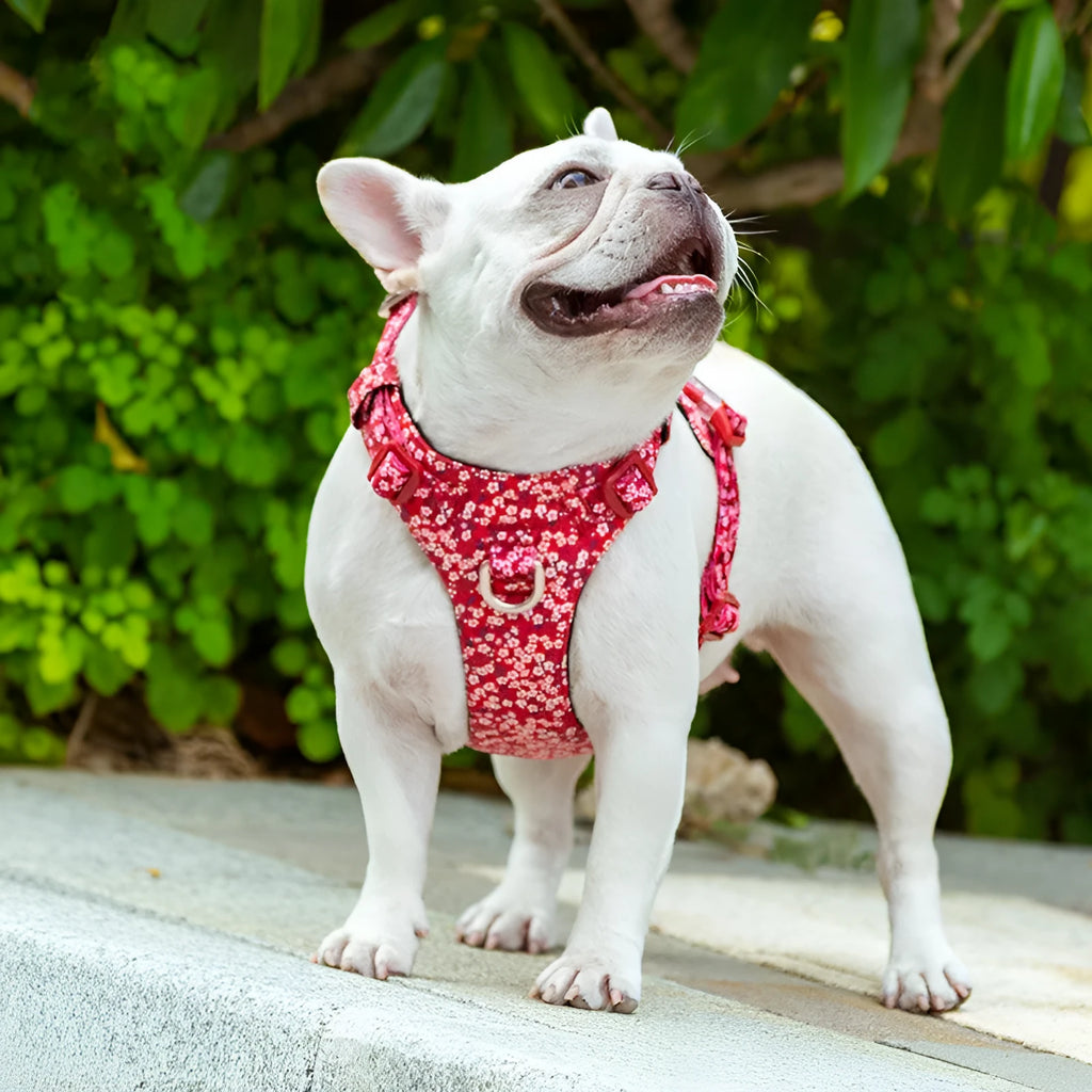 Floral pattern pure cotton dog chest harness with adjustable straps for sizing