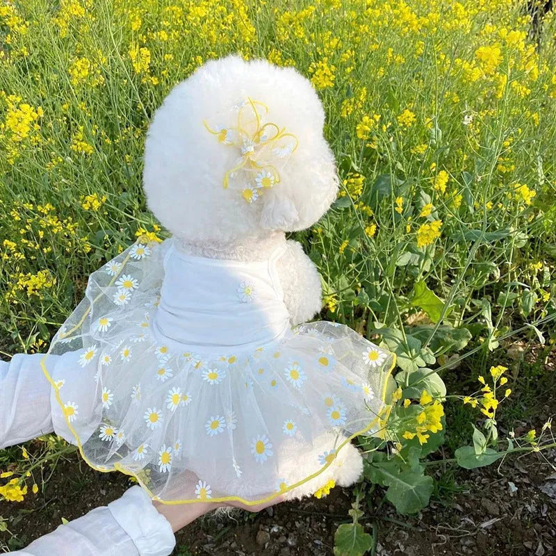 Yellow daisy pattern polyester dog vest for summer, sizes XS S M L XL