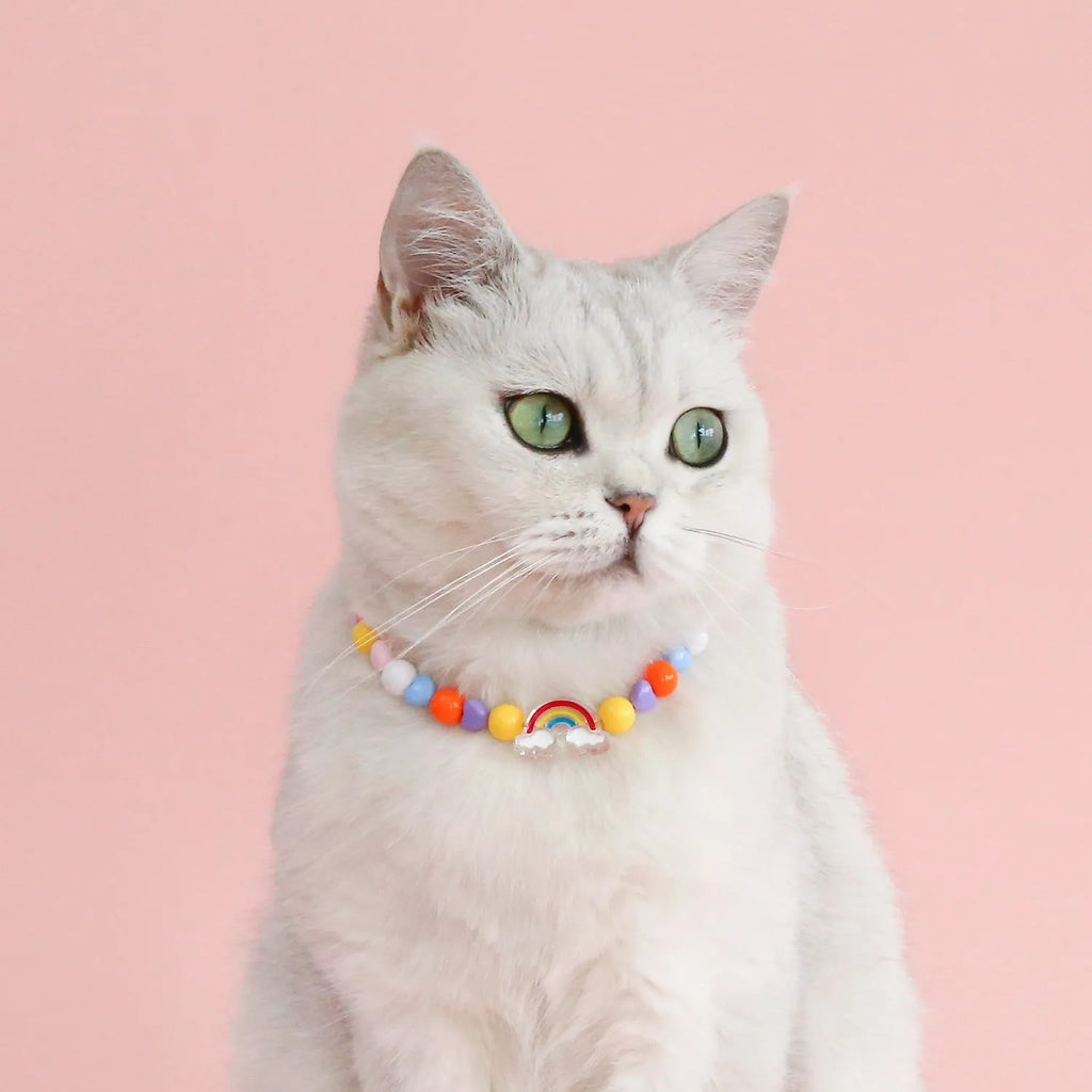 Colourful plastic pearl pet necklace with small flower, rainbow or peach bead patterns and adjustable sizing