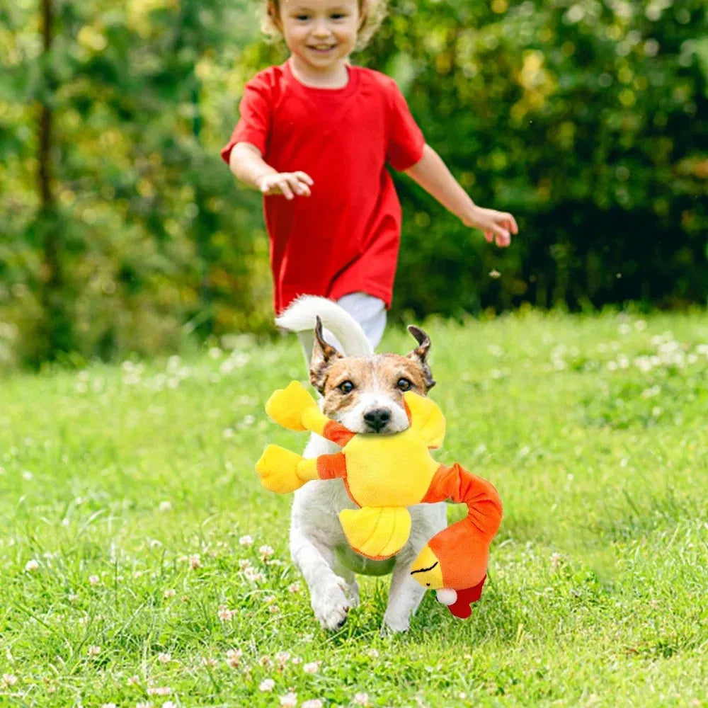 Screaming chicken sound dog toy in black, green or orange colours with bite-resistant rubber construction