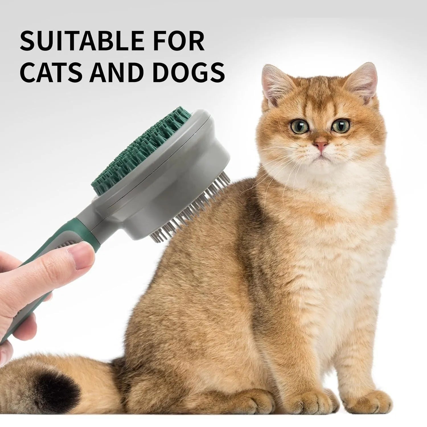 Two-sided silicone cat brush showing retractable slicker side and octopus-teeth massager side