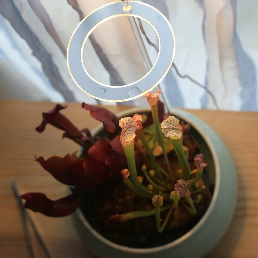 USB-powered LED plant grow light with full spectrum bulb and clear acrylic positioning stick.