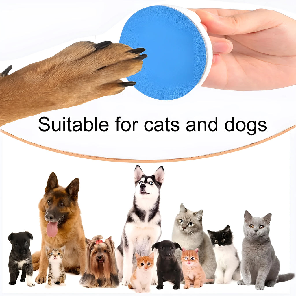 Upgraded dog nail file scratch board with ergonomic handle in blue colour