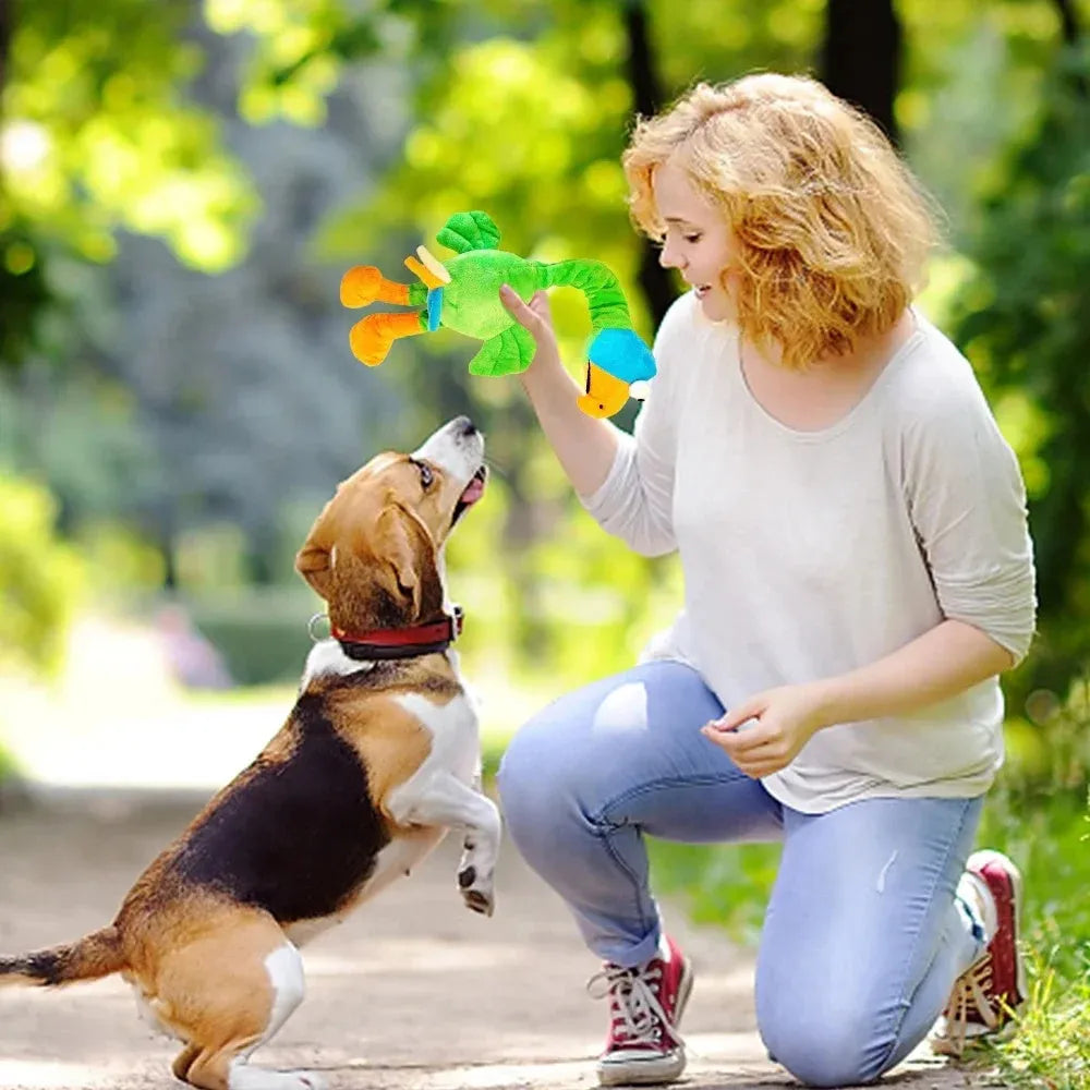 Screaming chicken sound dog toy in black, green or orange colours with bite-resistant rubber construction