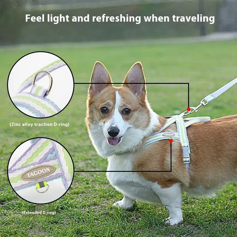 Coral orange Y-style dog harness and 1.4 metre leash set for a small dog on a grey background.