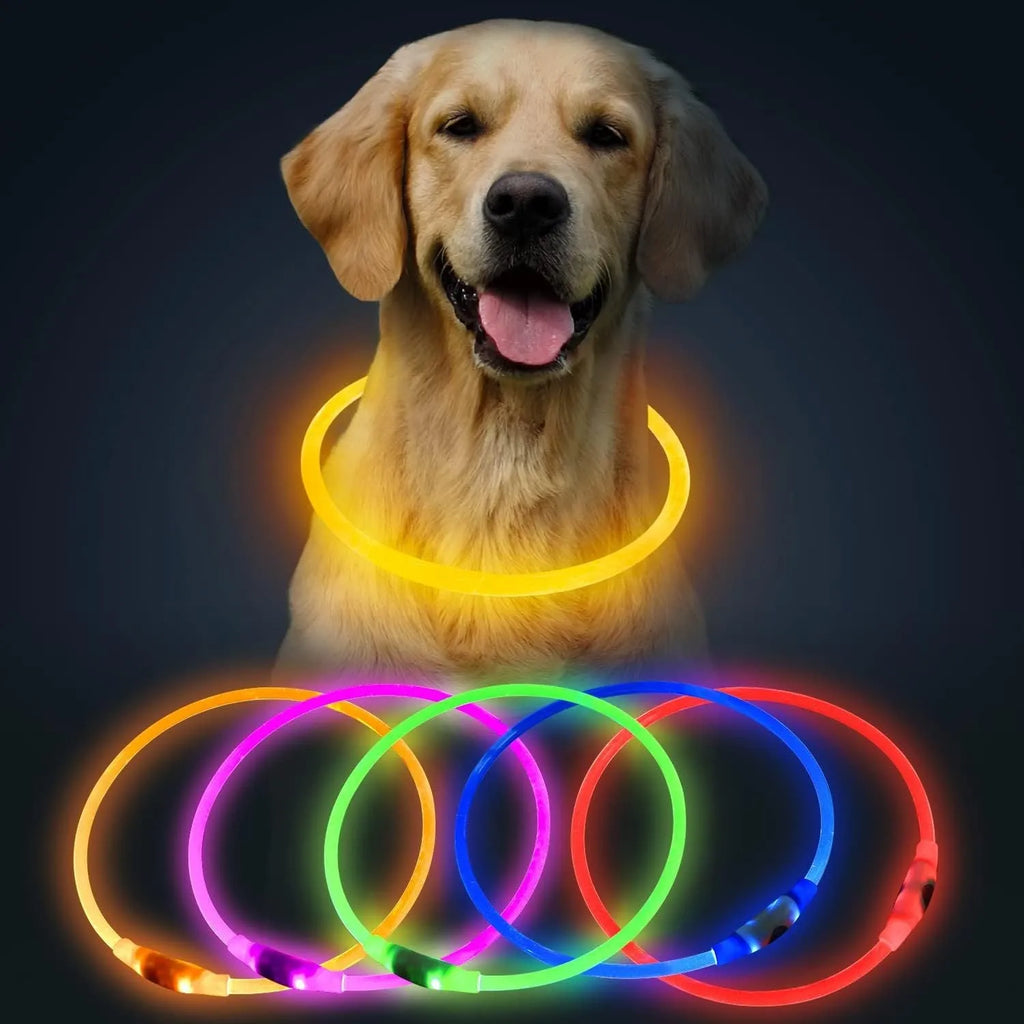 USB rechargeable LED dog collar with glowing light in blue colour, adjustable 70cm length
