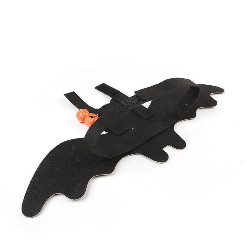 Halloween batwing costume for a cat in felt, shown in pumpkin bat colour on a feline.