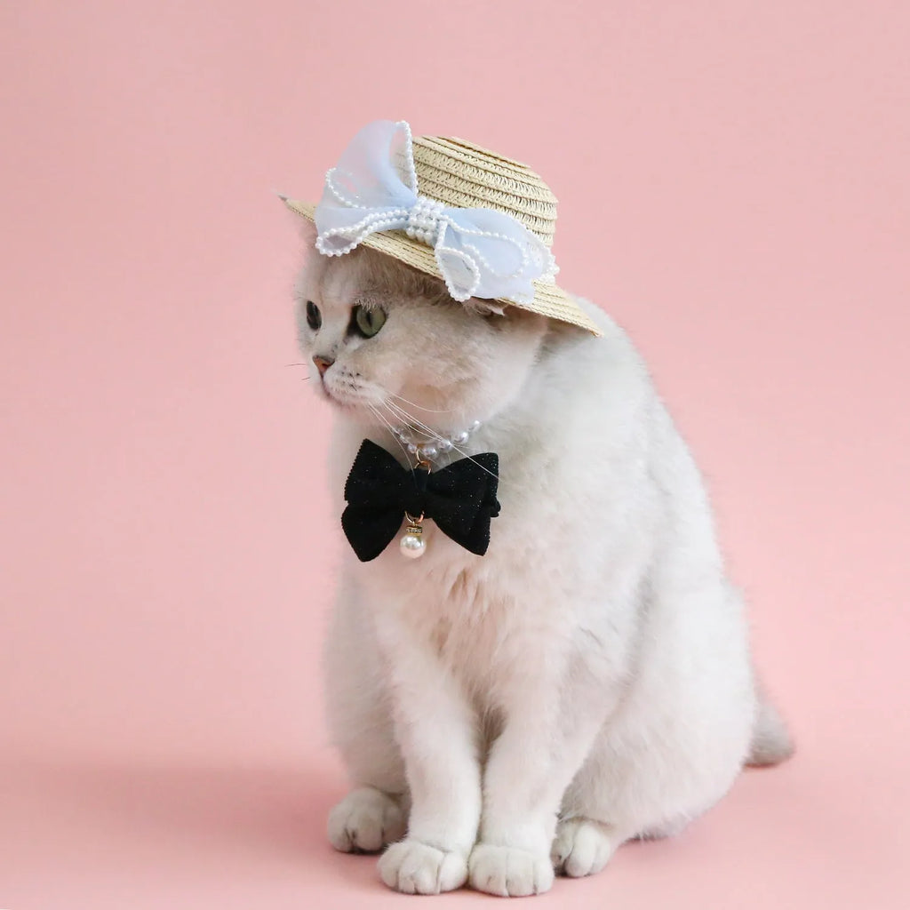 Woven Lafite leaves straw hat with pearl bow on a cat, showing pink pearl colour option in S 13cm size.