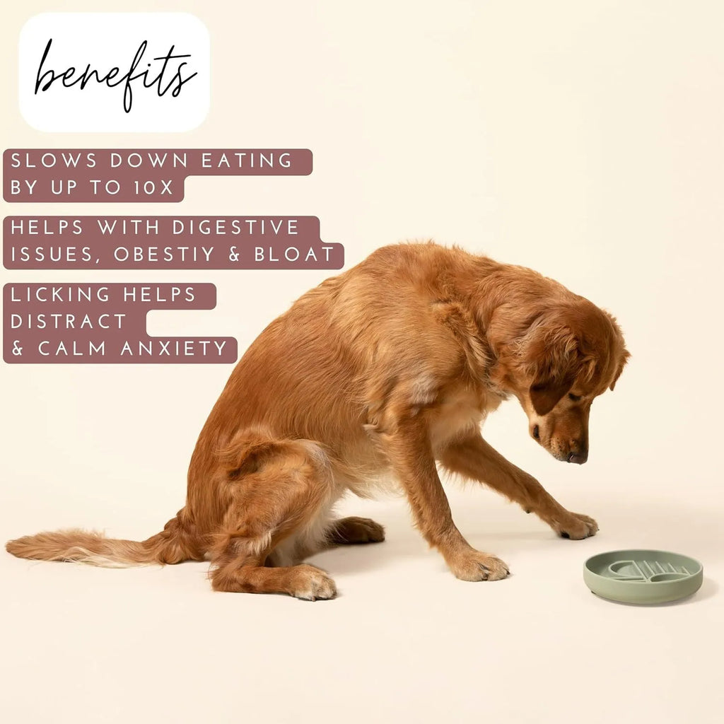 Silicone slow feeder dog bowl with ridges, functioning as a lick mat, in charcoal ash colour.