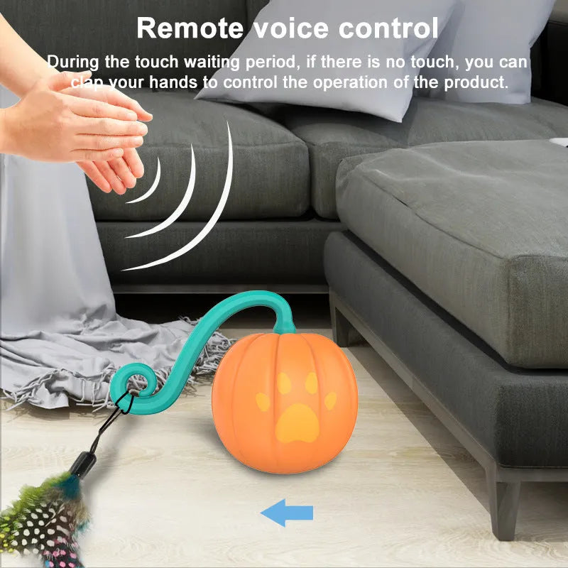 Electric cat toy ball with LED lights in watermelon or pumpkin design