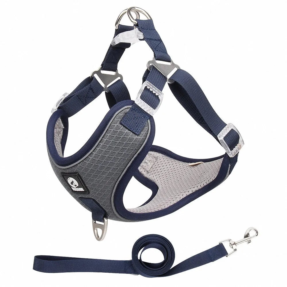 Adjustable dog harness with reflective strips and mesh saddle panel in black colour