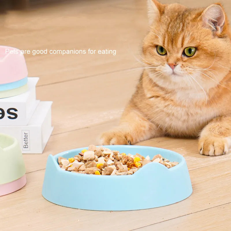 Blue ceramic dog slow feeder bowl with maze design and raised cups for slowing down fast eating.