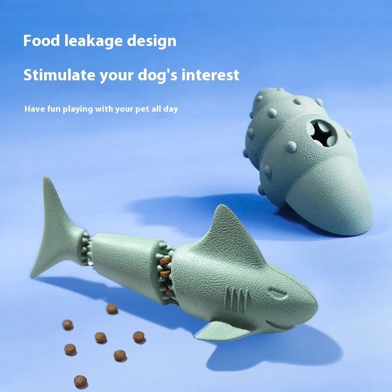 Blue and green rubber dog toys shaped as a shark, a conch, and a starfish on a white background.